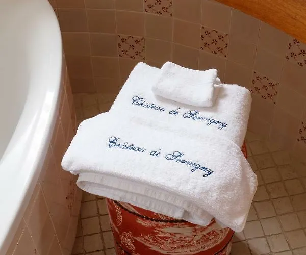 Holiday home Chateau De Servigny